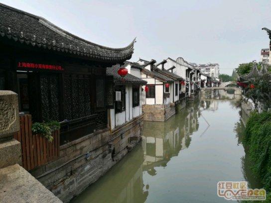 拯救可爱袋鼠